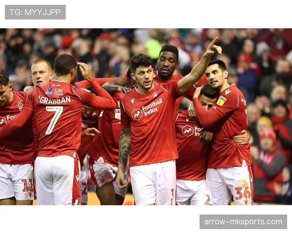 诺丁汉森林赛季表现惊艳，引爆球迷热议