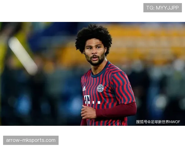 格纳布里技术细节解析：持续提升比赛表现的关键因素揭秘